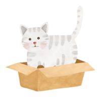 linda gato en un caja de papel dibujos animados ilustración png