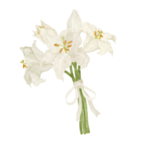 White lily floral bouquet wedding png