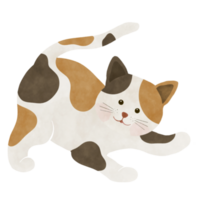 ilustração de gato bonito dos desenhos animados png
