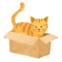 linda dibujos animados gato en un caja de papel png