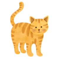 Cute cartoon cat illustration png