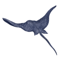 mantarraya acuarela ilustración png