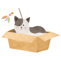 cute cat in a paperbox cartoon illustration png