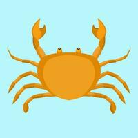 Sea Crab in flat vector illustration design