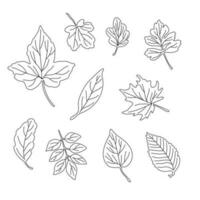 Leaves simple vector minimalist concept outline illustration, thin line hand drawn natural floral elements set, element for invitations, greeting cards, booklet desi