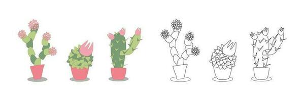 vector illustration coloring book - set of stylized indoor blooming cacti. Succulents in coral pots. An outline black and white drawing and a color version for an example.