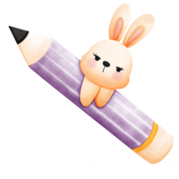 Bunny with pencil png