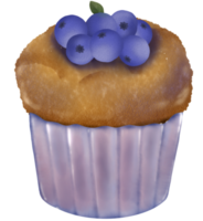 blueberry muffin Watercolor drawing hand drawn illustration png