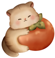 Cat hugging a persimmon Chuseok Collection Watercolor drawing illustration hand drawn clip art png