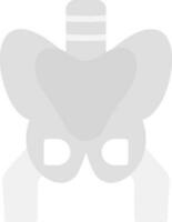 pelvis vector icono diseño