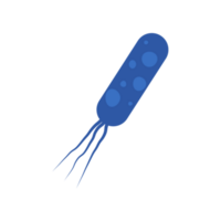 Flat Virus, germ and bacteria, microorganism type and super bug illustration. png