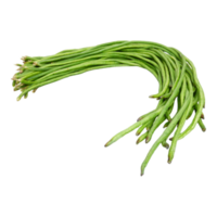 Bunch of fresh long bean isolated, transparent background png