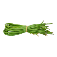 Bunch of fresh long bean isolated, transparent background png