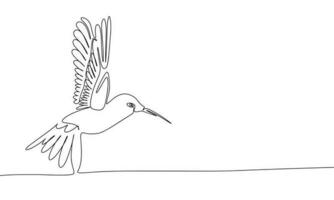 colibrí aislado en blanco antecedentes. uno línea continuo vector ilustración. línea arte, describir.