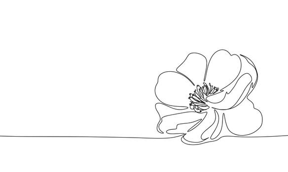 Flower in continuous line art drawing style. Silhouette of abstract flower. Black linear sketch isolated on white background. Vector illustration