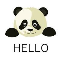 panda dice Hola. vector antecedentes con dibujos animados oso.