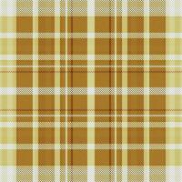 Tartan Seamless Pattern. Traditional Scottish Checkered Background. Traditional Scottish Woven Fabric. Lumberjack Shirt Flannel Textile. Pattern Tile Swatch Included. vector