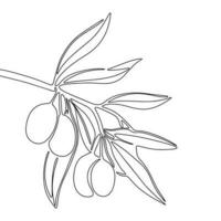 Olive branch isolated on white background. One line continuous olive branch vector illustration. Outline, line art silhouette