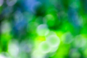 Blurred lights  bokeh abstract light background photo