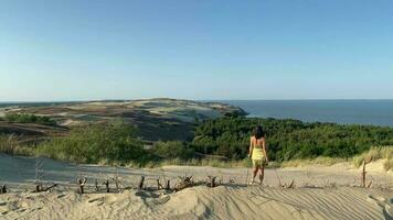 kongnitiv väg i nagliai boka i curonian spotta. kvinna turist i naturskön curonian spotta panorama- synpunkt i boka omgiven. litauen känd resa destination video