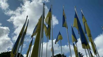 ukrainska flaggor på fyrkant med blå himmel bakgrund video
