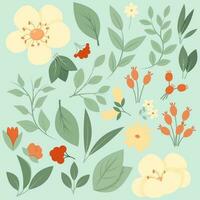 Vintage set of flowers, leaves and berries vector