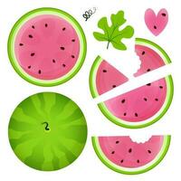 Set of different slices of ripe juicy watermelon vector
