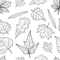 Seamless Pattern with Leaves Outline vector