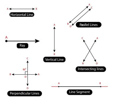 Horizontal, Vertical, Parallel, Intersecting lines, Perpendicular lines, Line Segment and Ray in mathematical geometry illustrations for students. vector