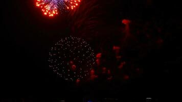 bunt Feuerwerk im das Nacht Himmel beim Stadt Tag Festival, Nowosibirsk, Russland video