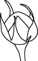 Sketch of Flower Bud vector