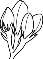 Sketch of Flower Bud vector