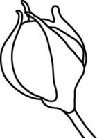 Sketch of Flower Bud vector