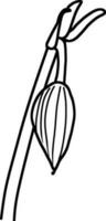 Sketch of Flower Bud vector