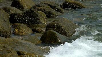 vagues se brisant près d'un rivage rocheux video