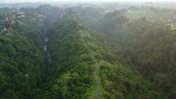 Campuhan Ubud From Above View photo