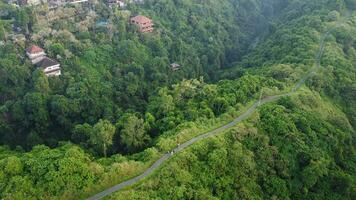 Ubud Footpath Top Aerial View photo