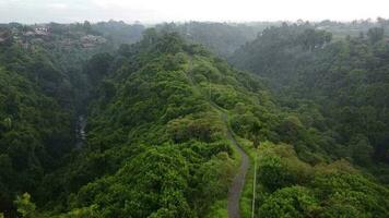 Ubud Jogging Track Aerial View Footage video