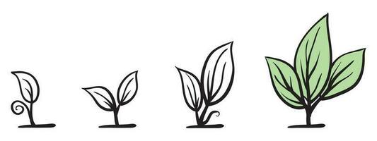 Line art growing sprout plant with hand drawn doodle style vector