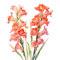 gladiolos acuarela flores ilustración ai generativo png