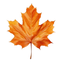 l'automne feuille isolé. illustration ai génératif png