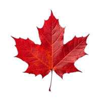 Autumn leaf isolated. Illustration AI Generative png