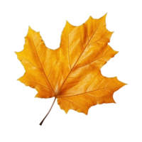 autunno foglia isolato. illustrazione ai generativo png