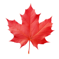 Autumn leaf isolated. Illustration AI Generative png