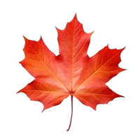 Autumn leaf isolated. Illustration AI Generative png