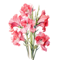 gladiolos acuarela flores ilustración ai generativo png