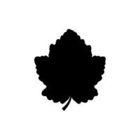Grape leaf icon vector. Wine illustration sign. Wine shop symbol. Wine house logo. vector