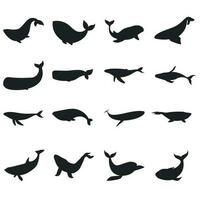 Whale icon vector set. Sperm whale illustration sign collection. Fish symbol. Ocean logo.