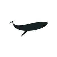 Whale icon vector. Sperm whale illustration sign. Fish symbol. Ocean logo. vector