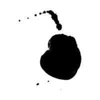black ink splash brush drop vector